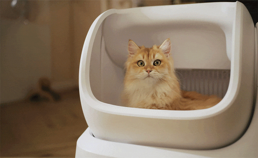 7d7891ddd445109470625c7501fa959b_1772527249_853.gif